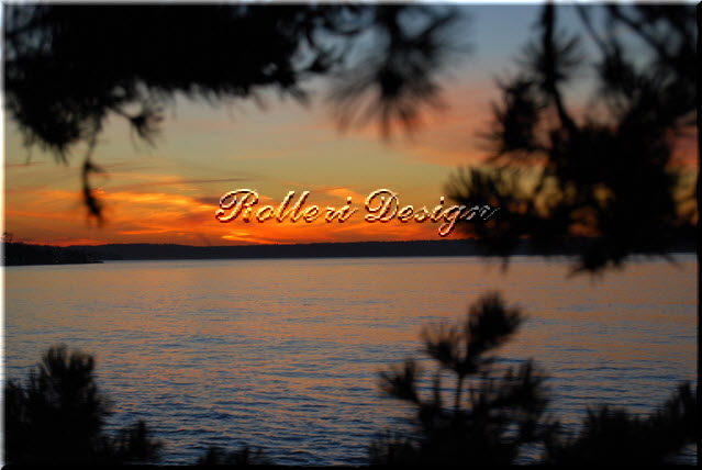 Alki Sunset (Through Trees)