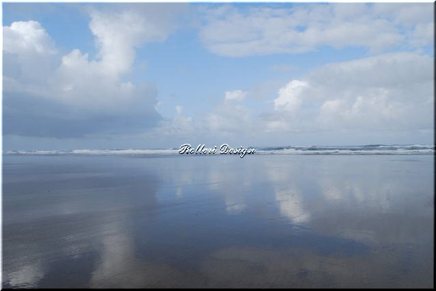 Cannon Beach Reflections